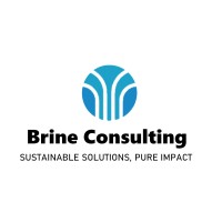 Brine Consulting logo - Similar company to Buildatronix 3D