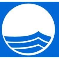 Blue Flag Mexico logo - Similar company to Adeac