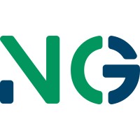 NextGeek logo - Similar company to Next Geeks