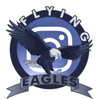 Flying Eagles logo - Similar company to Eagles Flight Asia Pacific