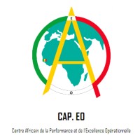 Centre Africain de la Performance et de l'Excellence Opérationnelle - CAPEO logo - Similar company to Merity, Llc