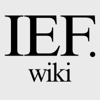 Impact Evaluation Foundation logo - Similar company to Impact Evaluation