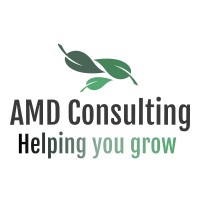 AMD Consulting logo - Similar company to Amd Consulting