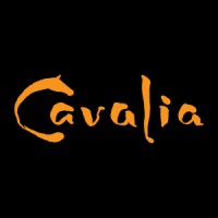 Cavalia (Groupe) logo - Similar company to Ace Developments Ltd