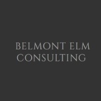Belmont Elm Consulting logo - Similar company to Summit Cfo Services, Inc.