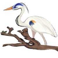 The Heron Branch