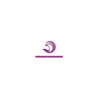 Saeian Sanat logo - Similar company to Tehnoplus