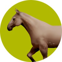 Horse Browser logo - Similar company to Ohms