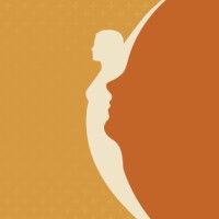 Billings OB-GYN Associates logo - Similar company to Ob&Gyn