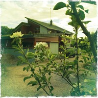 Naduir Center For Holistic Health