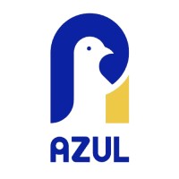 Azul Nicaragua logo - Similar company to Nara Consultores