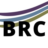 Bridge Research Consortium logo - Similar company to Gulf Coast Eval Network