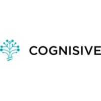 Cognisive logo - Similar company to Digital Software Inc