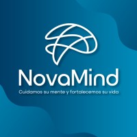 NovaMInd logo - Similar company to Pulfiber