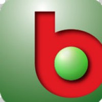 Bloodstone Solutions logo - Similar company to Mon Matelas