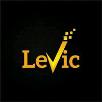 LEVIC DIGITAL AGENCY logo - Similar company to Digital Dynamo Pro | Social Media Strategist | Digital Marketing | Crowdfunding Expert