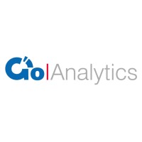 go-analytics logo - Similar company to Go Data Insights