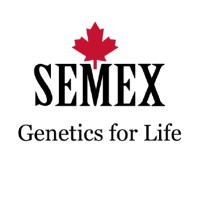 Semex Argentina S.A. logo - Similar company to Porcus