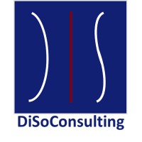 DiSoConsulting logo - Similar company to Jumpco Academy