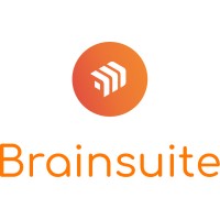 Brainsuite.ai logo - Similar company to B2B Practitioners