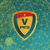 VPES Team logo - Similar company to Youthdev Co,.Ltd