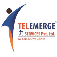 TELEMERGE IT SERVICES PVT. LTD logo - Similar company to Flightcase It Services Pvt. Ltd.