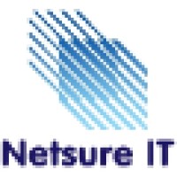 Netsure It