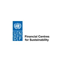 UNDP Financial Centres for Sustainability (FC4S) logo - Similar company to Verein Für Umweltmanagement Und Nachhaltigkeit In Finanzinstituten (Vfu) E.V.