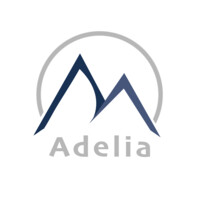 Adelia Conseil logo - Similar company to Ithéa