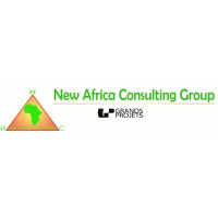 New Africa Consulting logo - Similar company to African Consulting Services