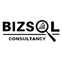 BizSol Consultancy logo - Similar company to Ast Enterprise