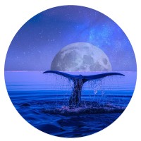 Master Astrologer logo - Similar company to Astrologer Dawn