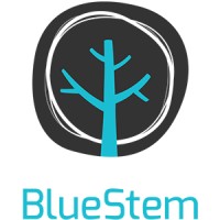 BlueStem logo - Similar company to Voodoo.Ie