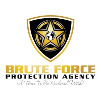 Brute Force Protection Agency, LLC logo - Similar company to Statewide Security, Llc