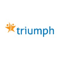 Triumph Enterprises, Inc. logo - Similar company to Mtc Technologies