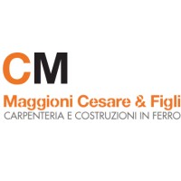 Maggioni Cesare & Figli SAS logo - Similar company to Enging
