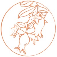 Flourish Collaborative logo - Similar company to Flourish Collaborative
