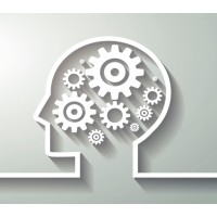 Neuroscience Program logo - Similar company to Neuroscience Phd Program- Unina