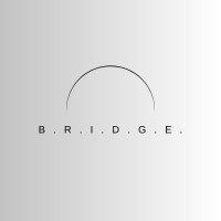 B.R.I.D.G.E. logo - Similar company to Wingfan Llc