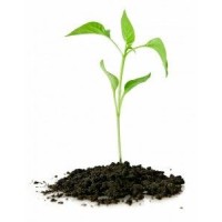Proseeds® logo - Similar company to Proseeds