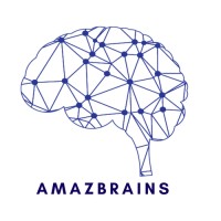 AmazBrains logo - Similar company to E-Sage Solutions