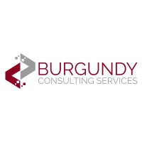 Burgundy Consulting Services logo - Similar company to Brandpoint Analytics