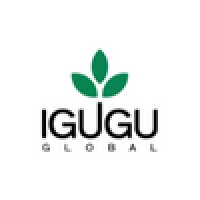 Igugu Global logo - Similar company to Ingham Analytics Ltd