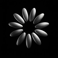 FINITO logo - Similar company to Indies.Cl