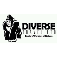 Diverse Travel Ltd logo - Similar company to Pimdrop