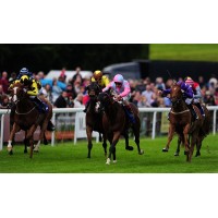 Cleeve Racing Limited logo - Similar company to Talentsift