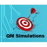 QM Simulations Inc. logo - Similar company to Megamadz