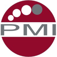 PMI Finance & Consulting logo - Similar company to Matchdrive