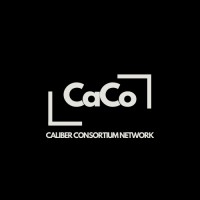 CaCo Network logo - Similar company to Rémi Ledé