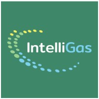 IntelliGas logo - Similar company to Pap Solutions Pty Ltd